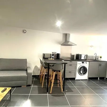 Apartment Grand T2 Rue Simeon Gouet Vienne (Isere)